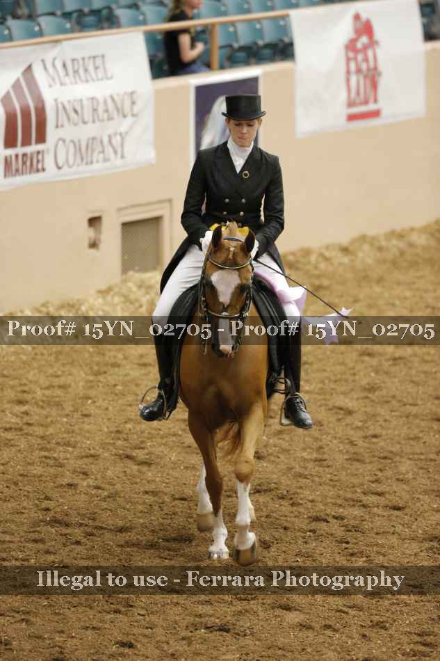 Proof 15YN_02705