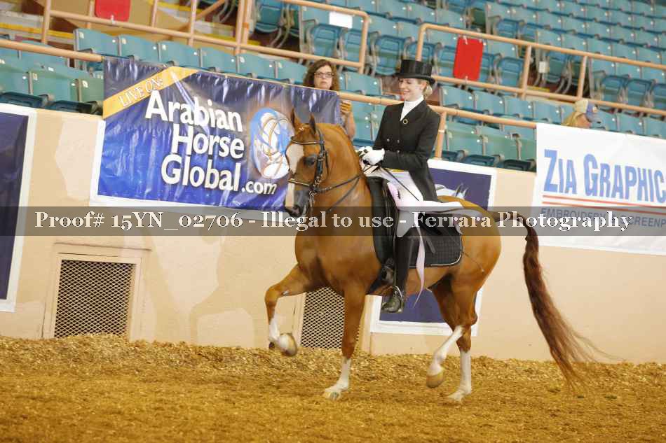 Proof 15YN_02706