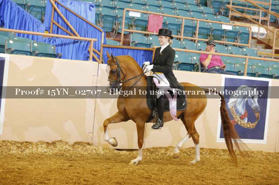 Proof 15YN_02707