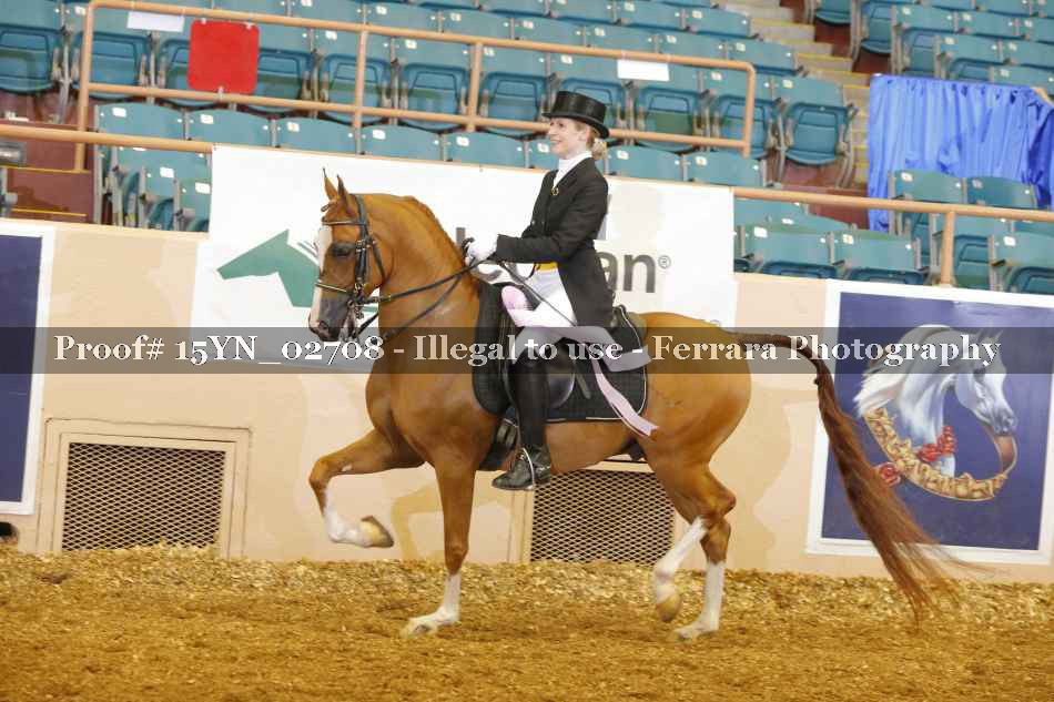 Proof 15YN_02708