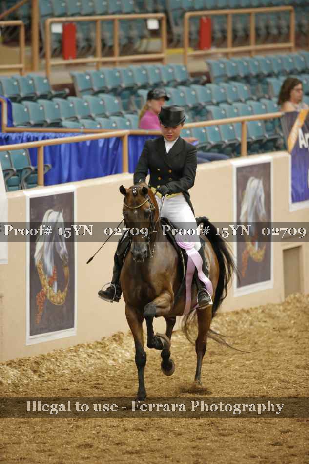 Proof 15YN_02709