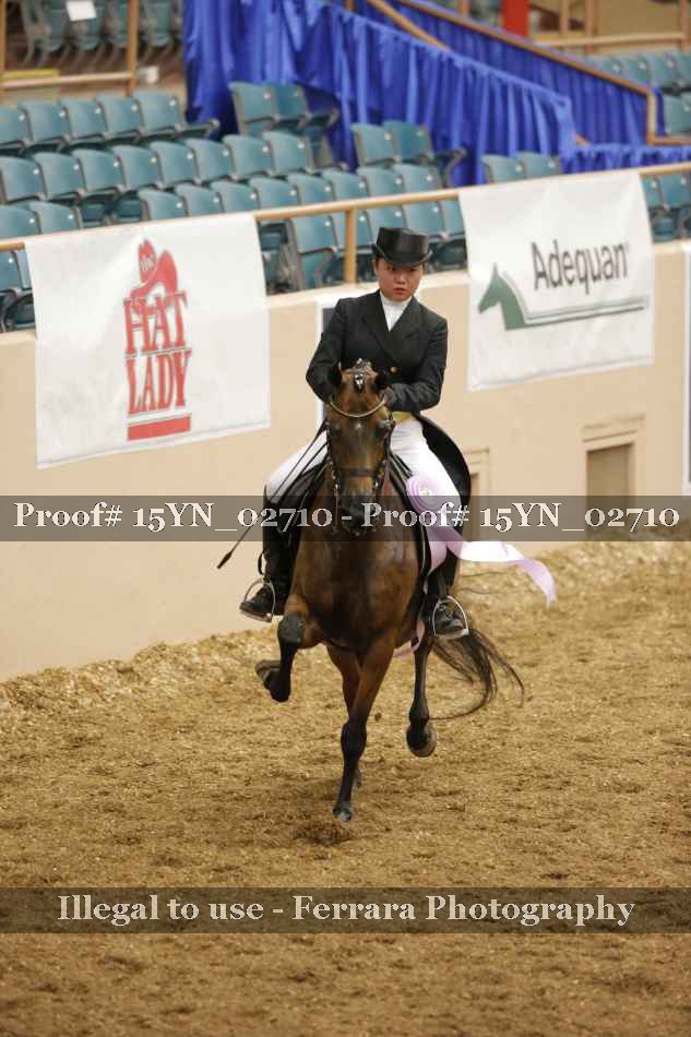 Proof 15YN_02710