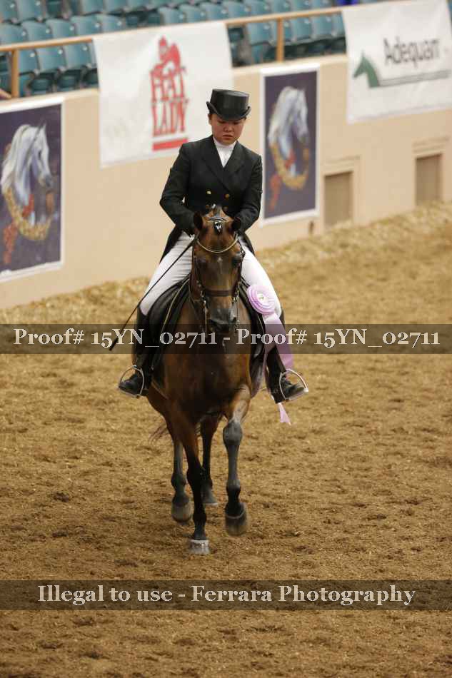 Proof 15YN_02711