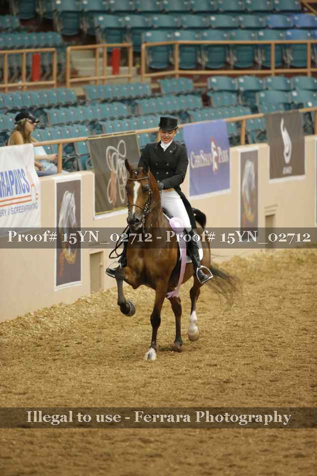 Proof 15YN_02712