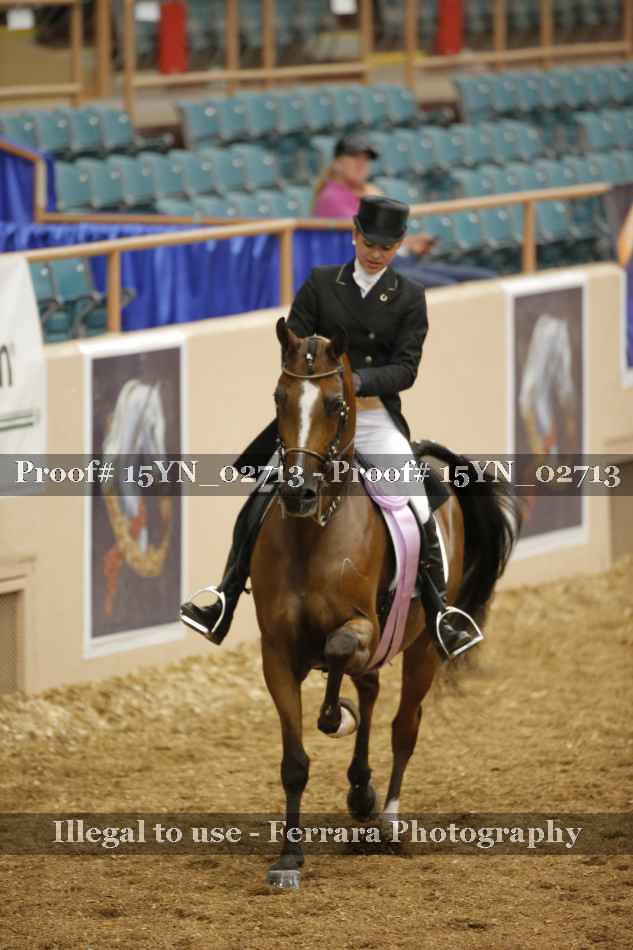 Proof 15YN_02713