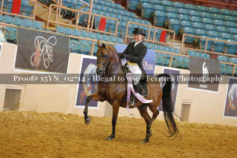 Proof 15YN_02714
