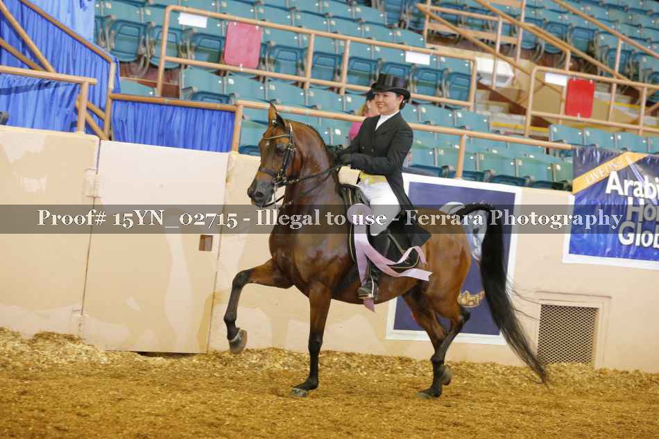 Proof 15YN_02715
