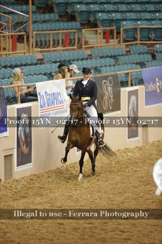 Proof 15YN_02717