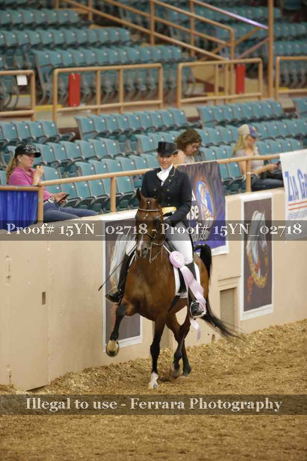 Proof 15YN_02718