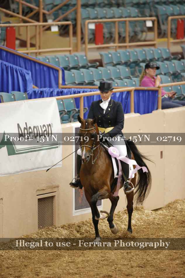 Proof 15YN_02719