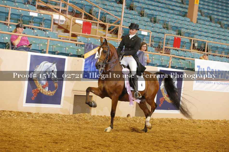Proof 15YN_02721