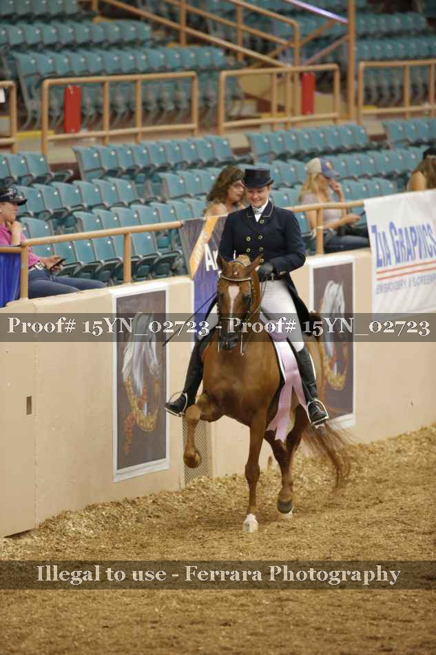 Proof 15YN_02723