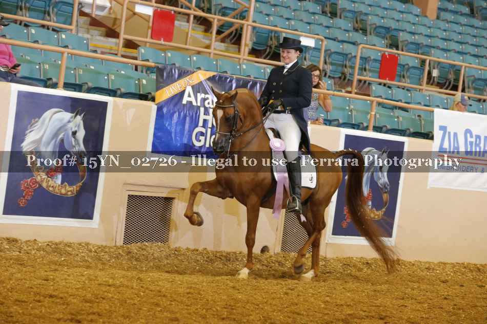 Proof 15YN_02726