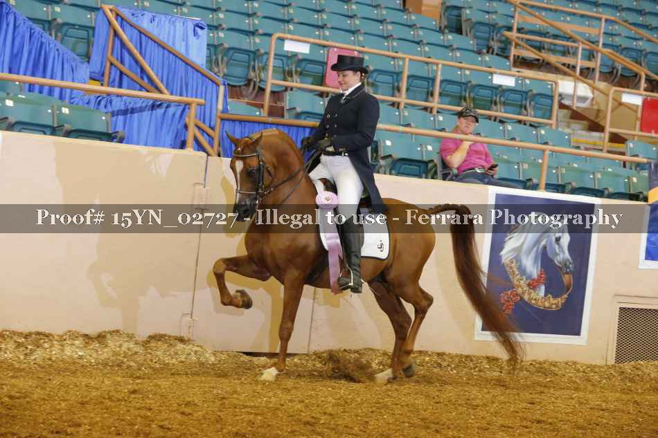 Proof 15YN_02727
