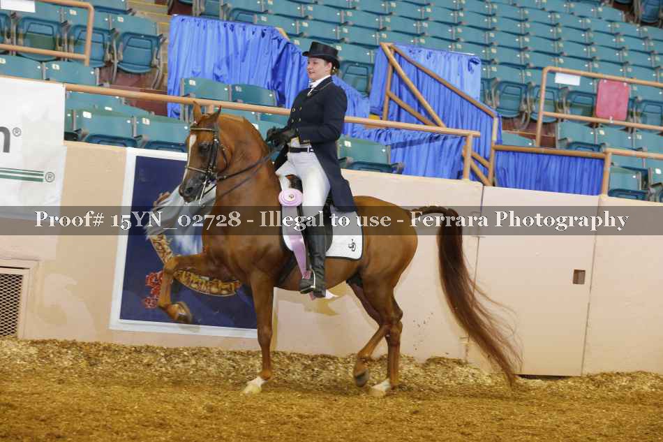Proof 15YN_02728
