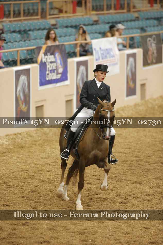 Proof 15YN_02730