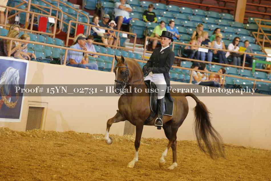 Proof 15YN_02731
