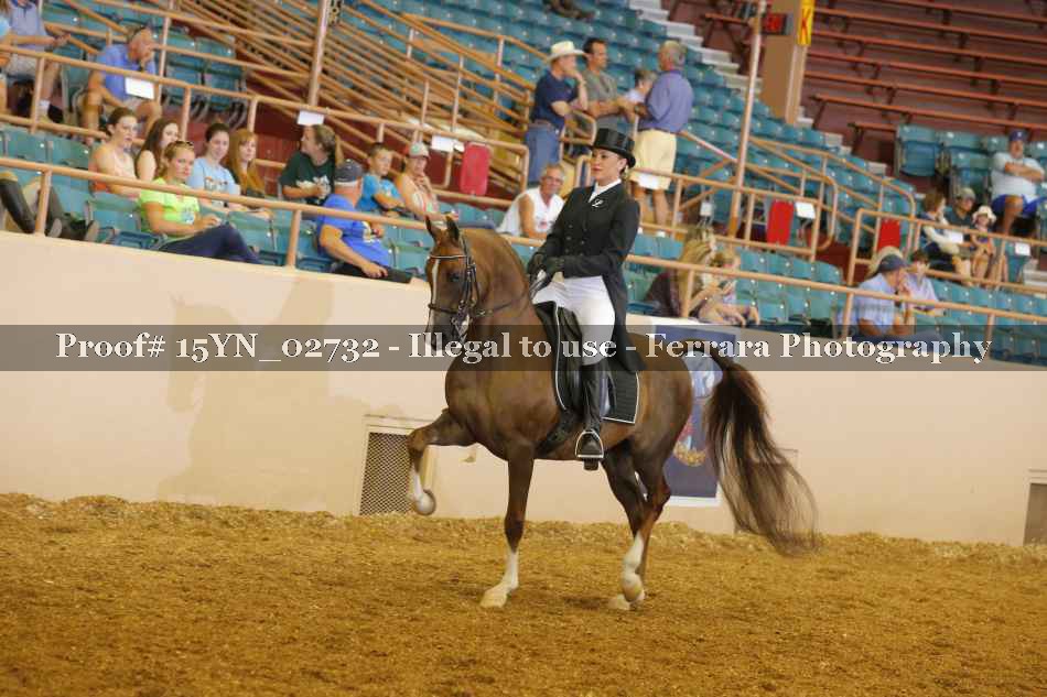 Proof 15YN_02732