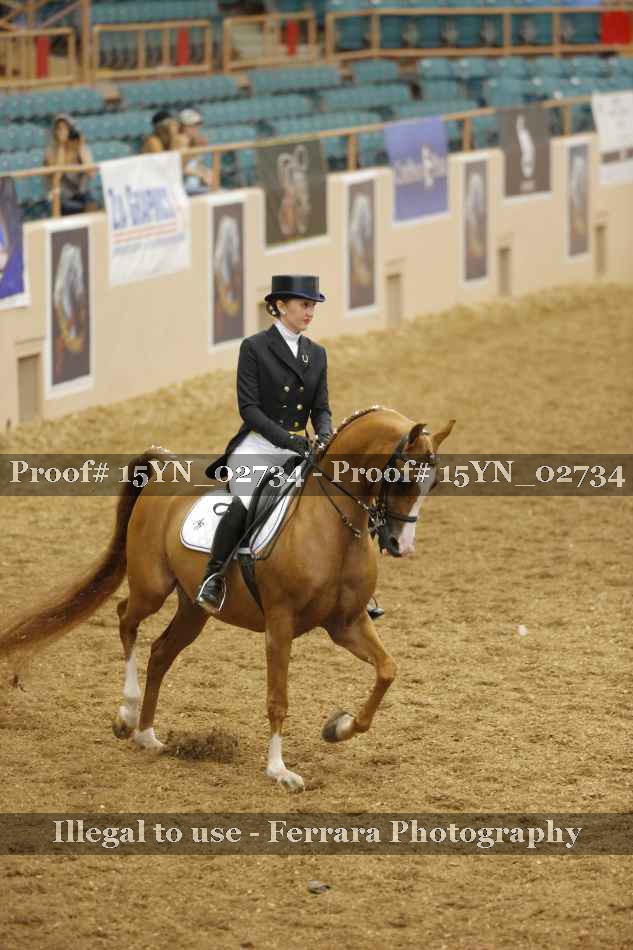 Proof 15YN_02734