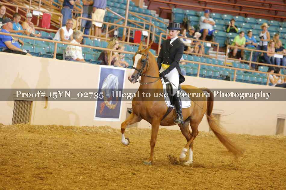 Proof 15YN_02735