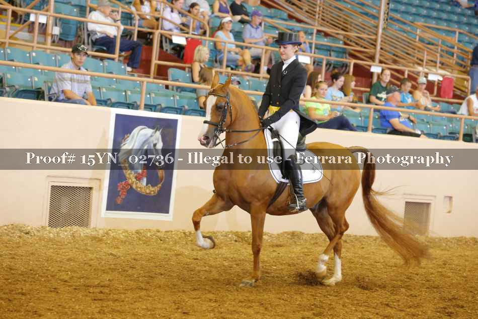 Proof 15YN_02736