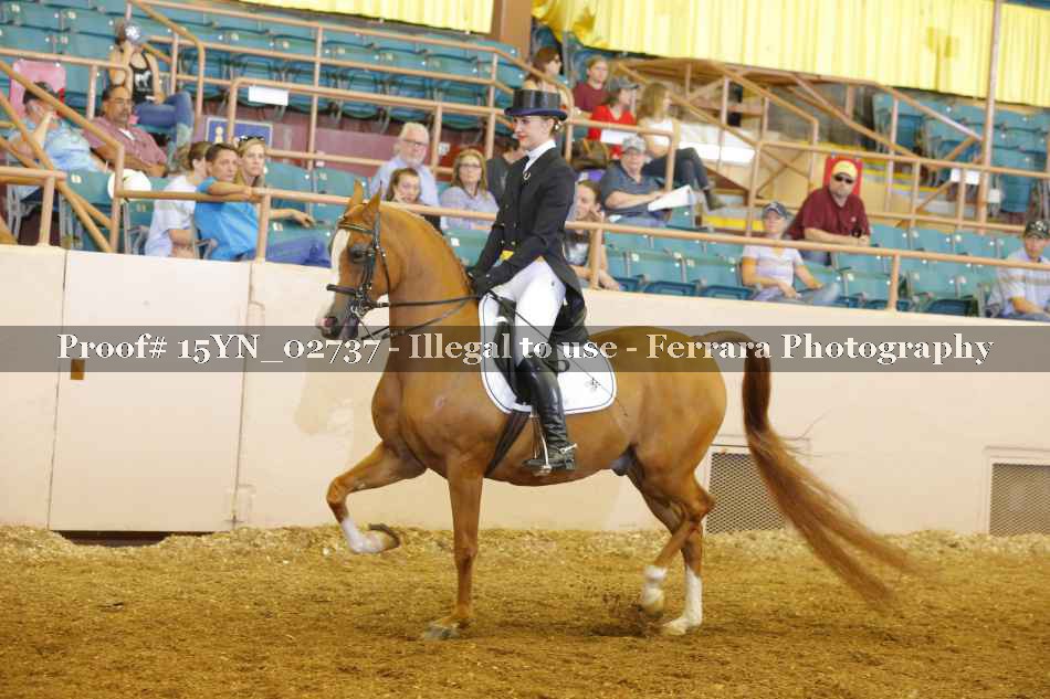 Proof 15YN_02737