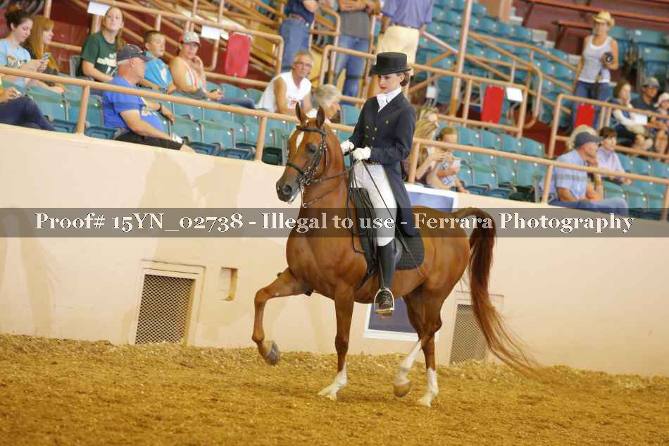 Proof 15YN_02738