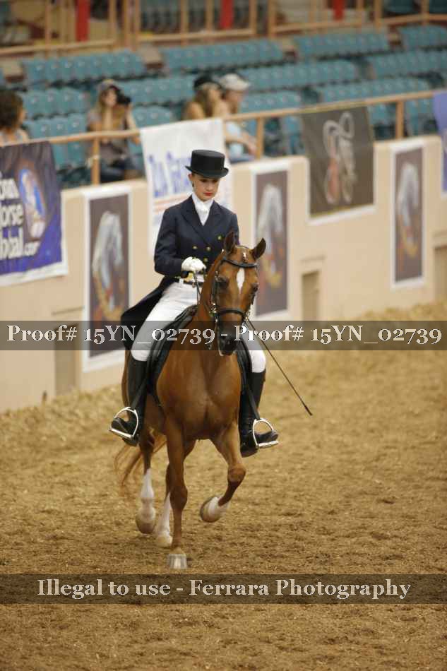 Proof 15YN_02739