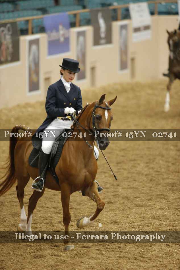 Proof 15YN_02741