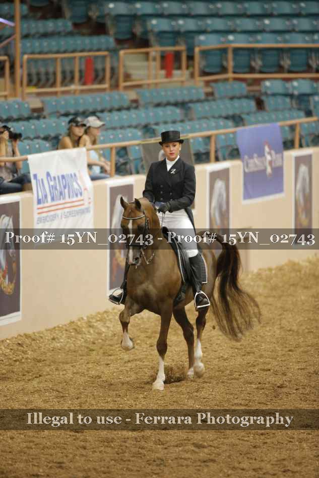 Proof 15YN_02743