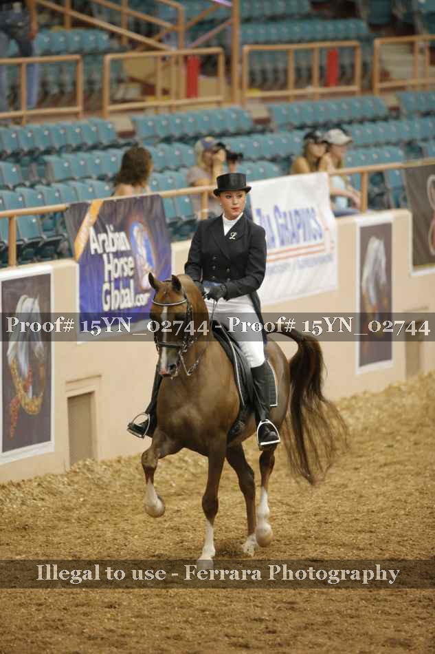 Proof 15YN_02744