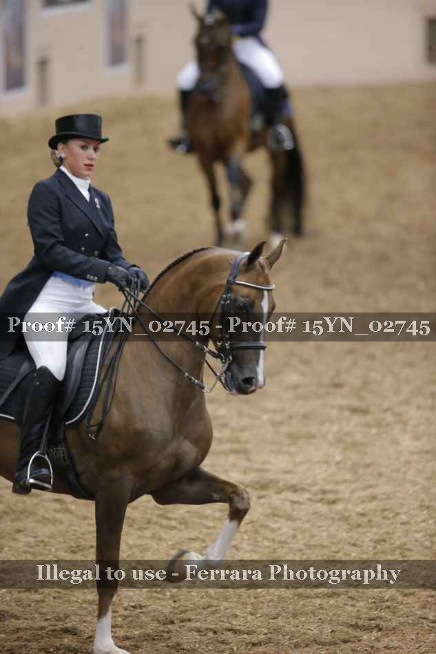 Proof 15YN_02745
