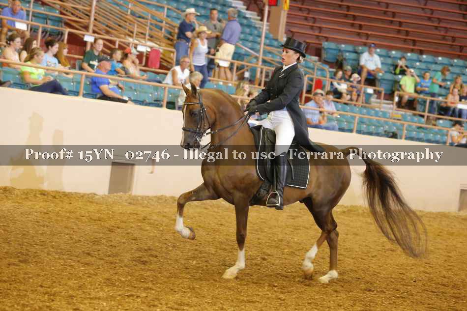Proof 15YN_02746