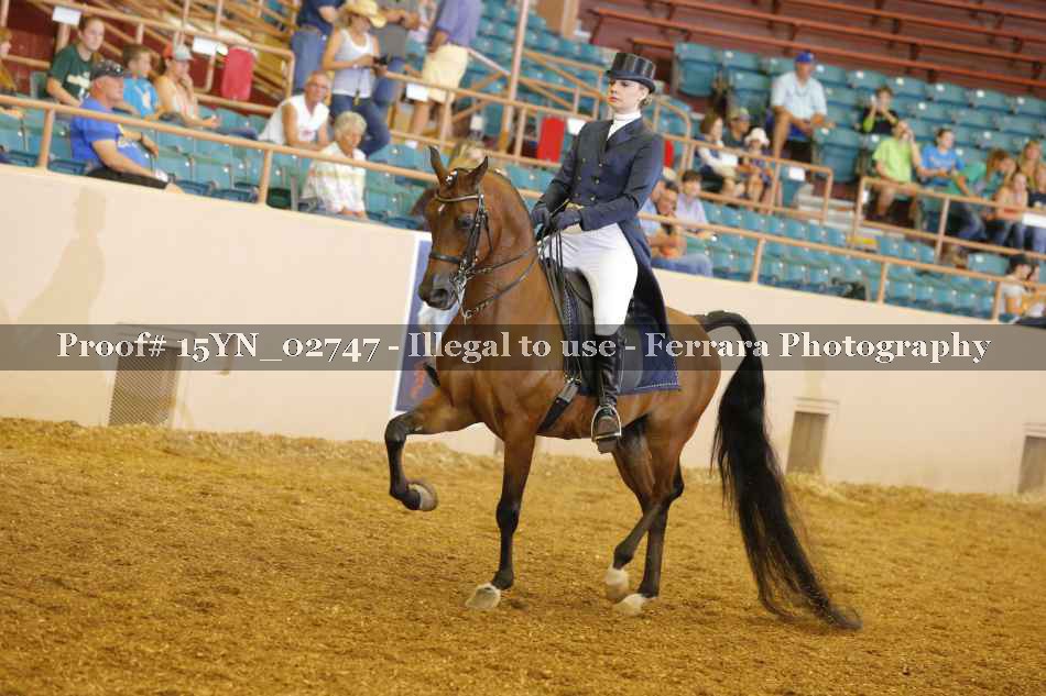 Proof 15YN_02747