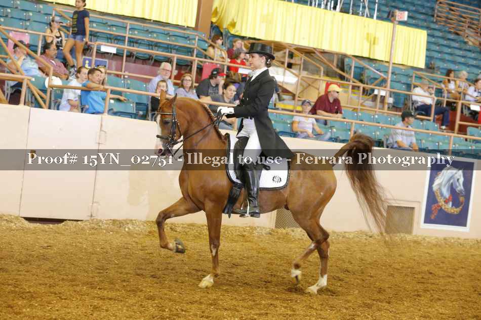 Proof 15YN_02751