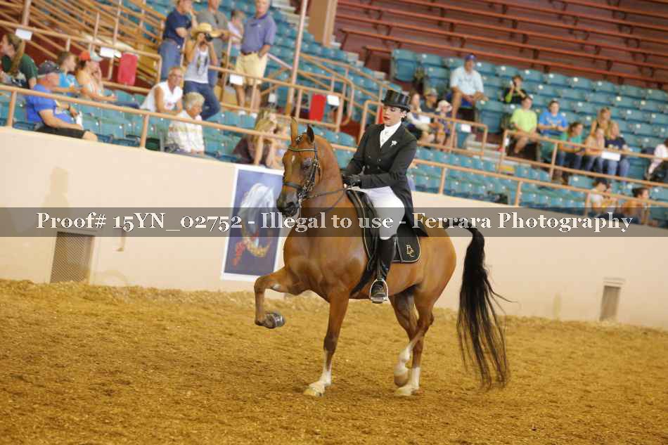 Proof 15YN_02752
