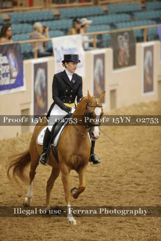 Proof 15YN_02753