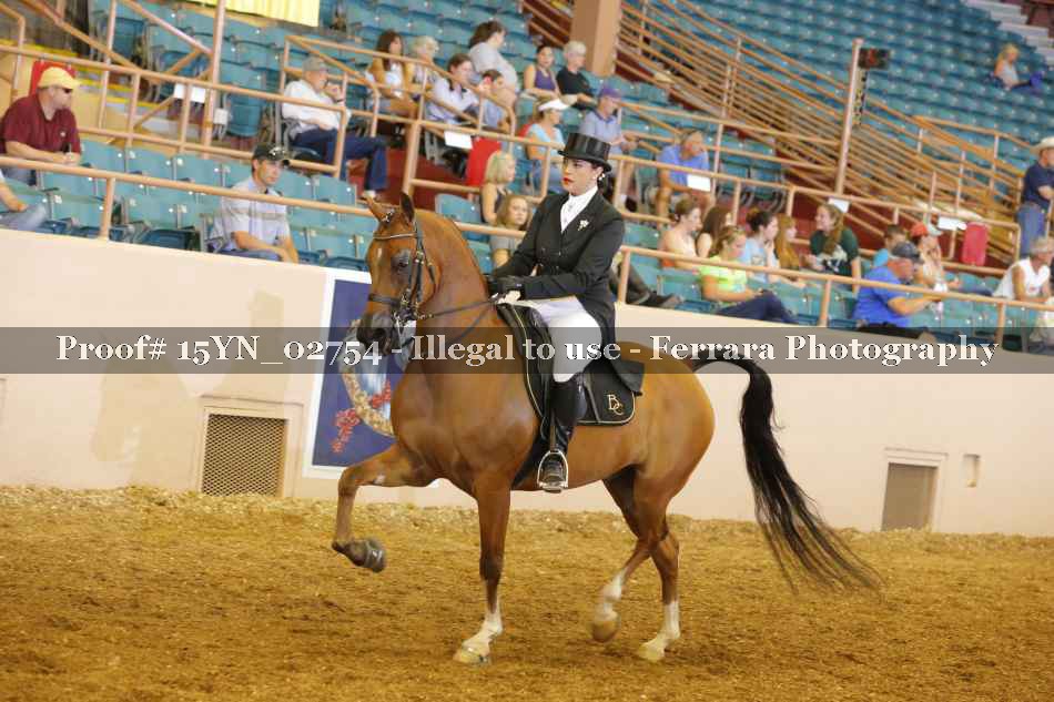 Proof 15YN_02754