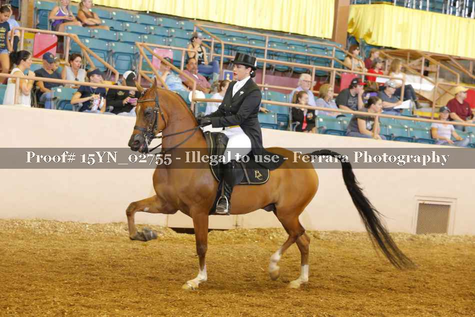 Proof 15YN_02755