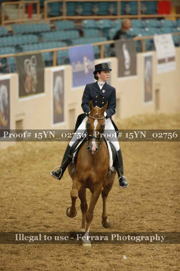 Proof 15YN_02756