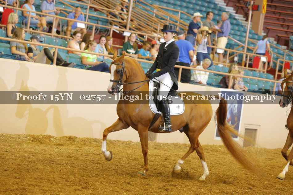 Proof 15YN_02757