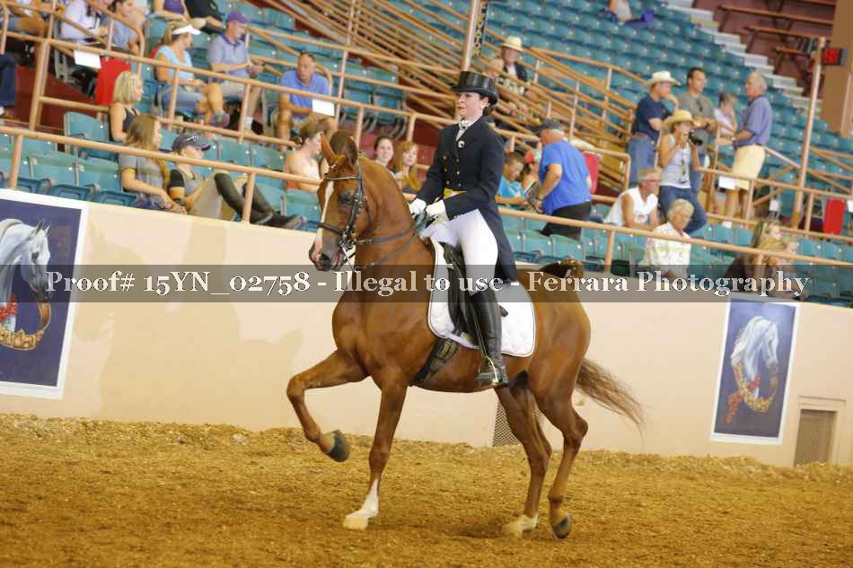 Proof 15YN_02758
