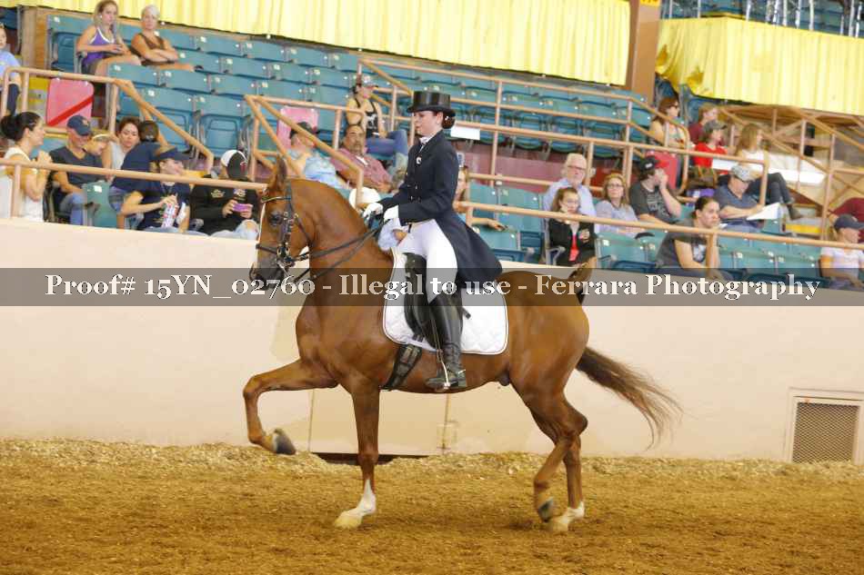 Proof 15YN_02760