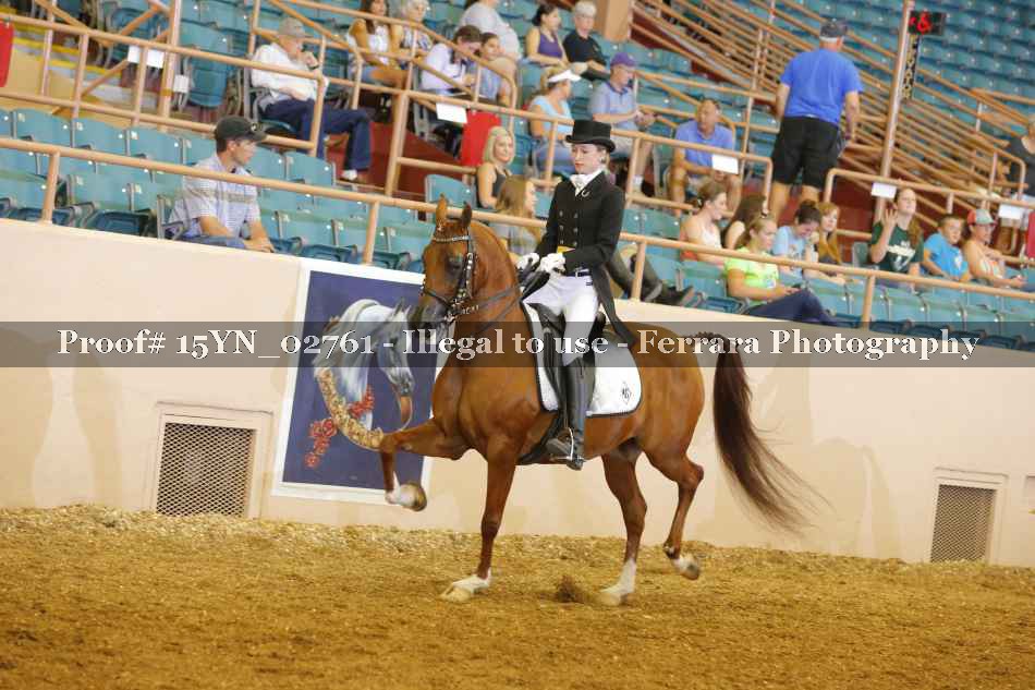 Proof 15YN_02761