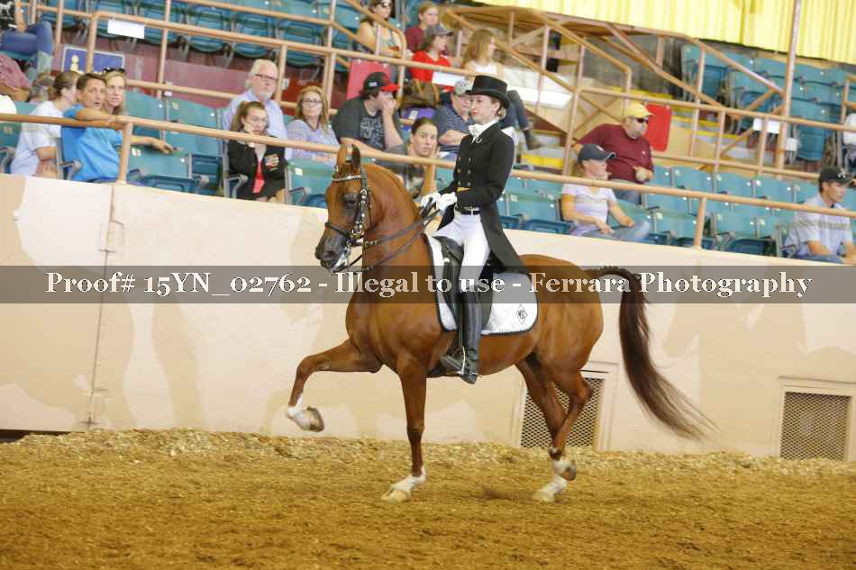 Proof 15YN_02762