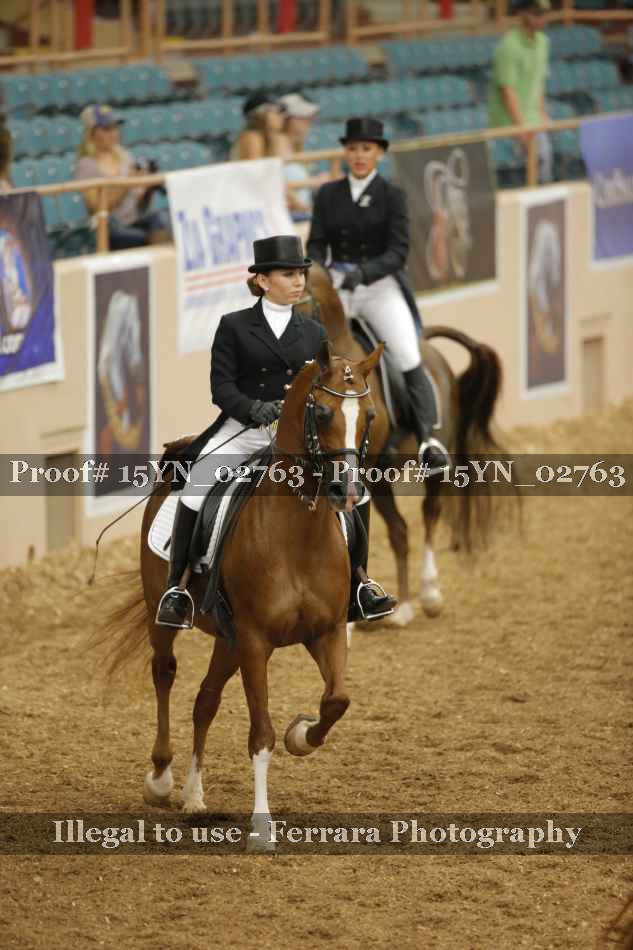 Proof 15YN_02763