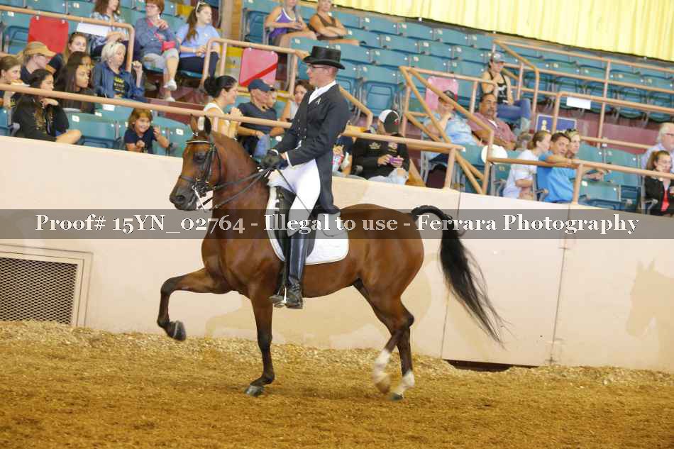 Proof 15YN_02764