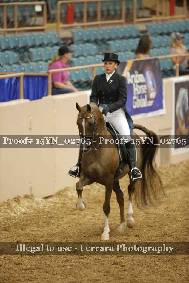 Proof 15YN_02765