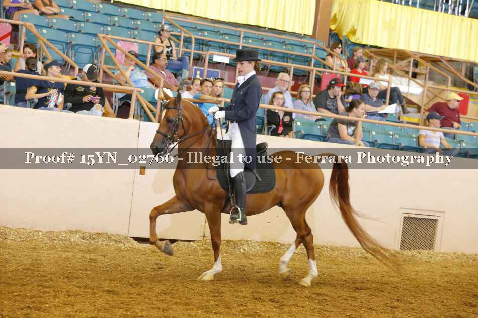 Proof 15YN_02766