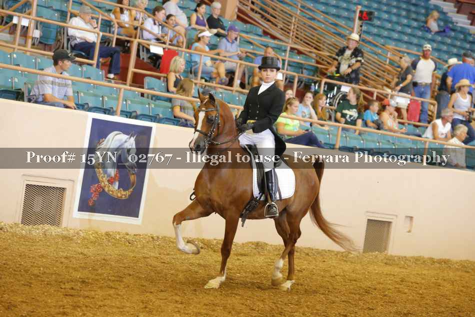 Proof 15YN_02767